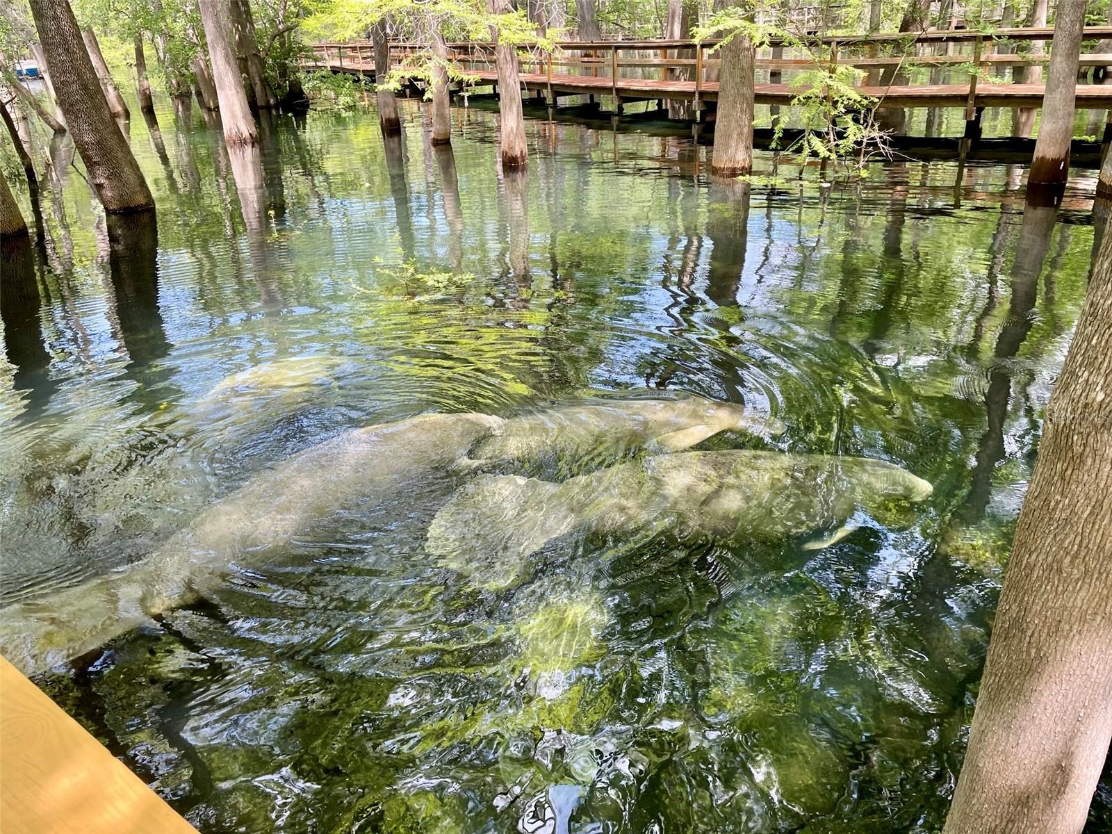 THREE RIVERS ESTATES - Residential