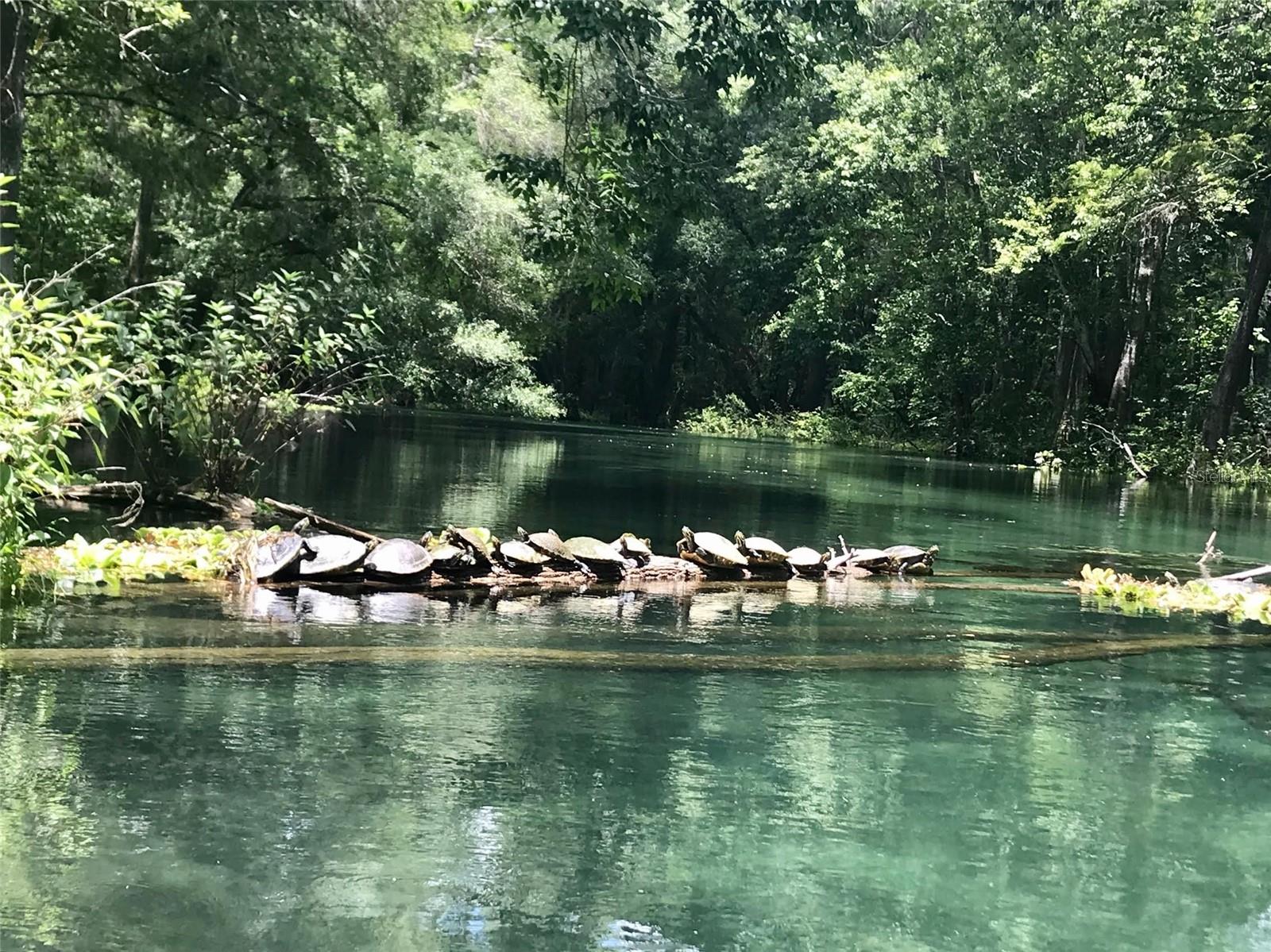 THREE RIVERS ESTATES - Residential