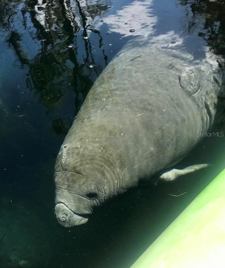 THREE RIVERS ESTATES - Residential