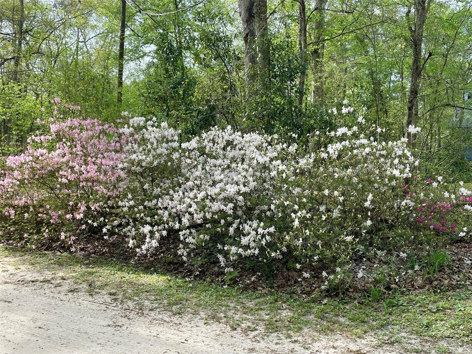 THREE RIVERS ESTATES - Residential