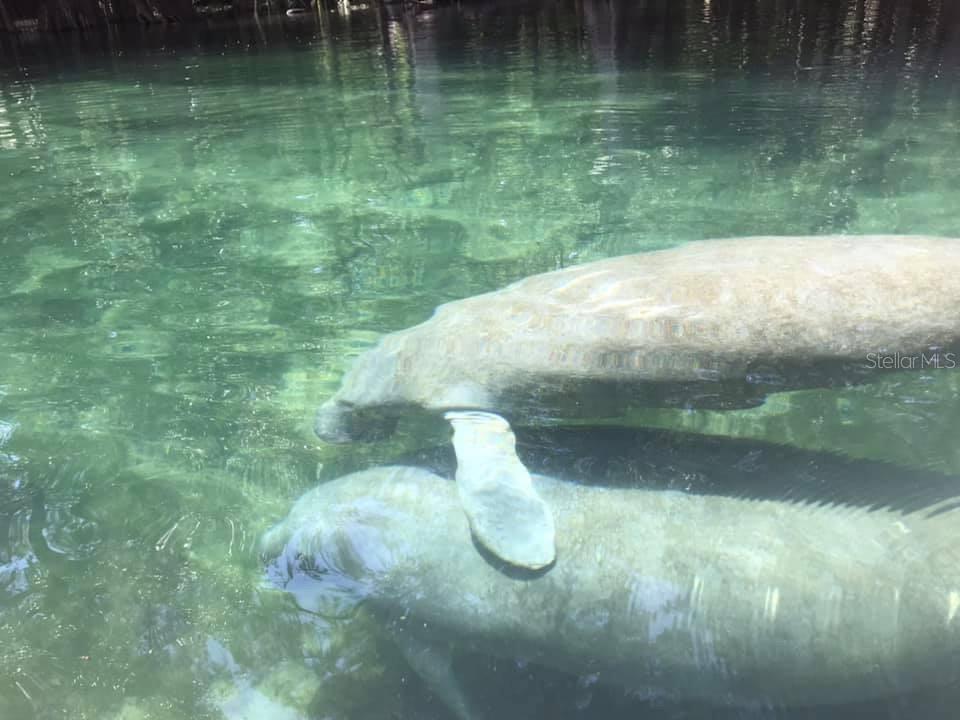 THREE RIVERS ESTATES - Residential