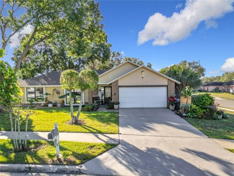 A home in ORLANDO