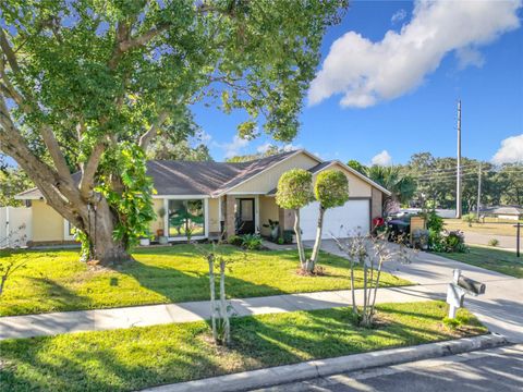 A home in ORLANDO