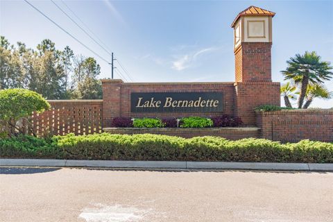 A home in ZEPHYRHILLS