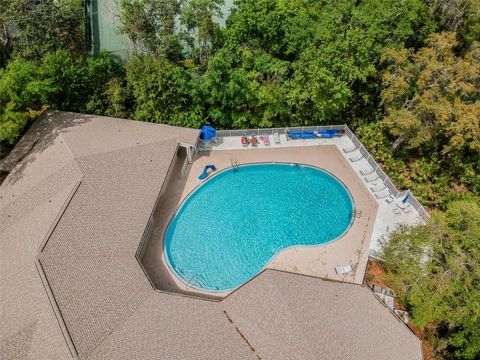 A home in ZEPHYRHILLS