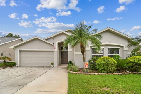 A home in ZEPHYRHILLS