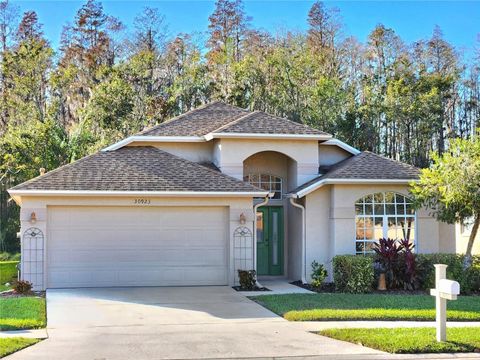 A home in WESLEY CHAPEL