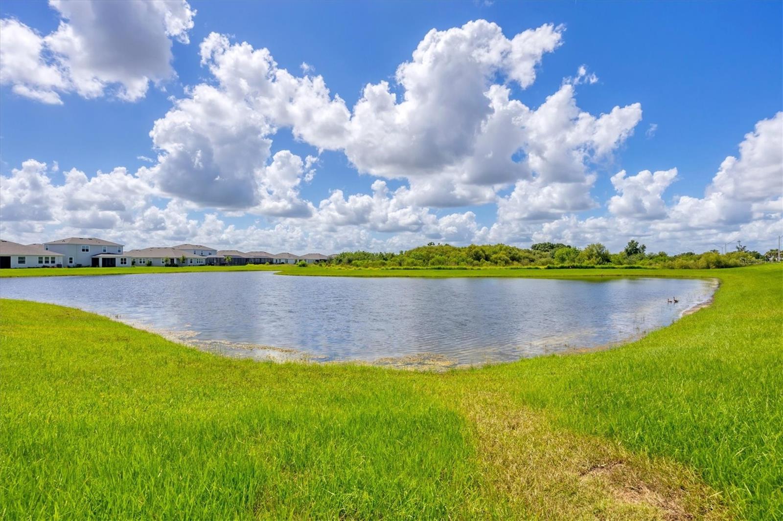 STAR FARMS PH I-IV - Residential