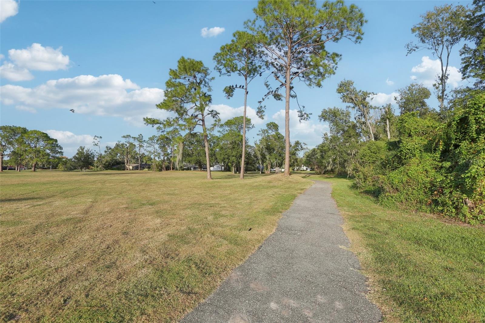 WALDEN LAKE UNIT 30 PH II S - Residential