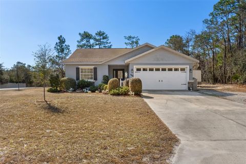 668 W HUMMINGBIRD DRIVE CITRUS SPRINGS FL 34434