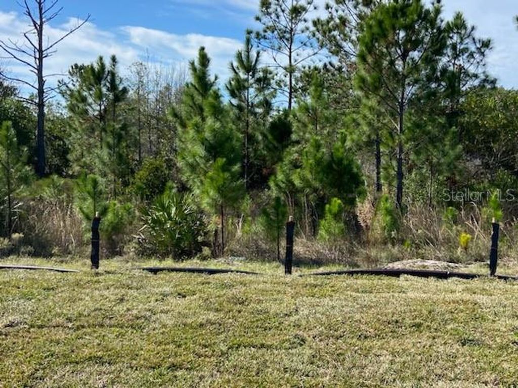 Photo of 6 W Sawmill Court, Palm Coast, FL 32137 (MLS # FC293824)