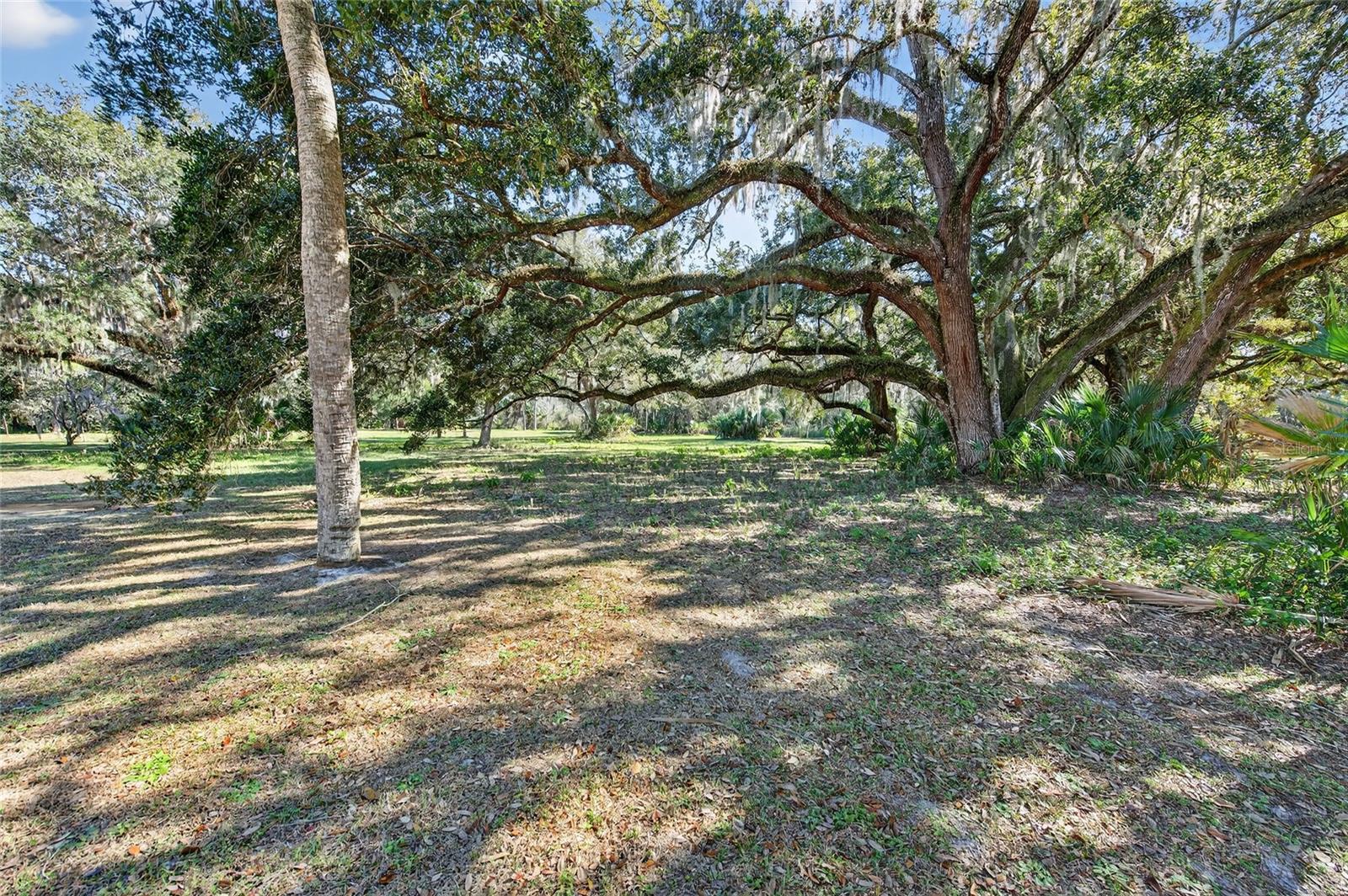 INDIAN RIVER PARK - Residential