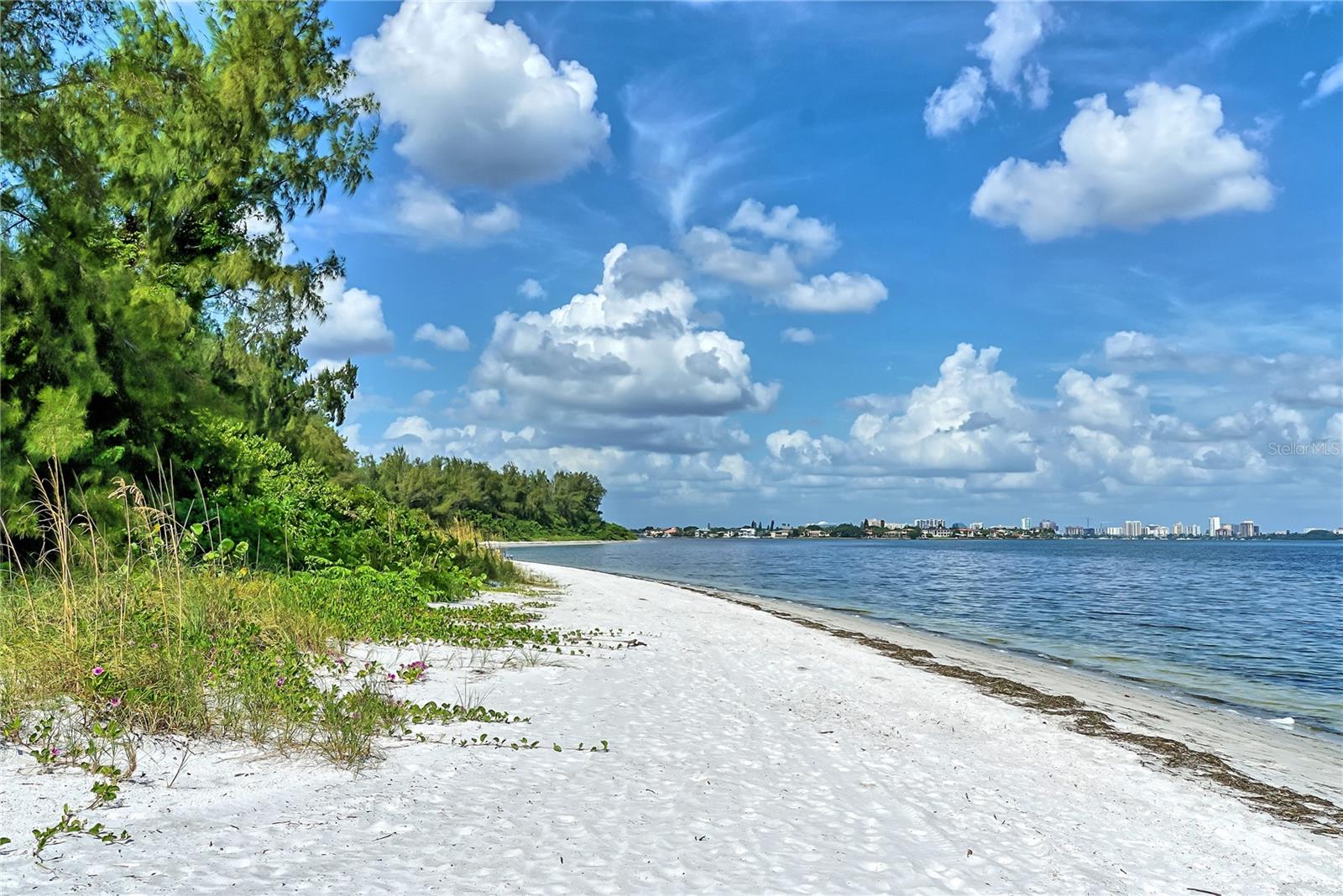 KEY TOWER SOUTH - Residential