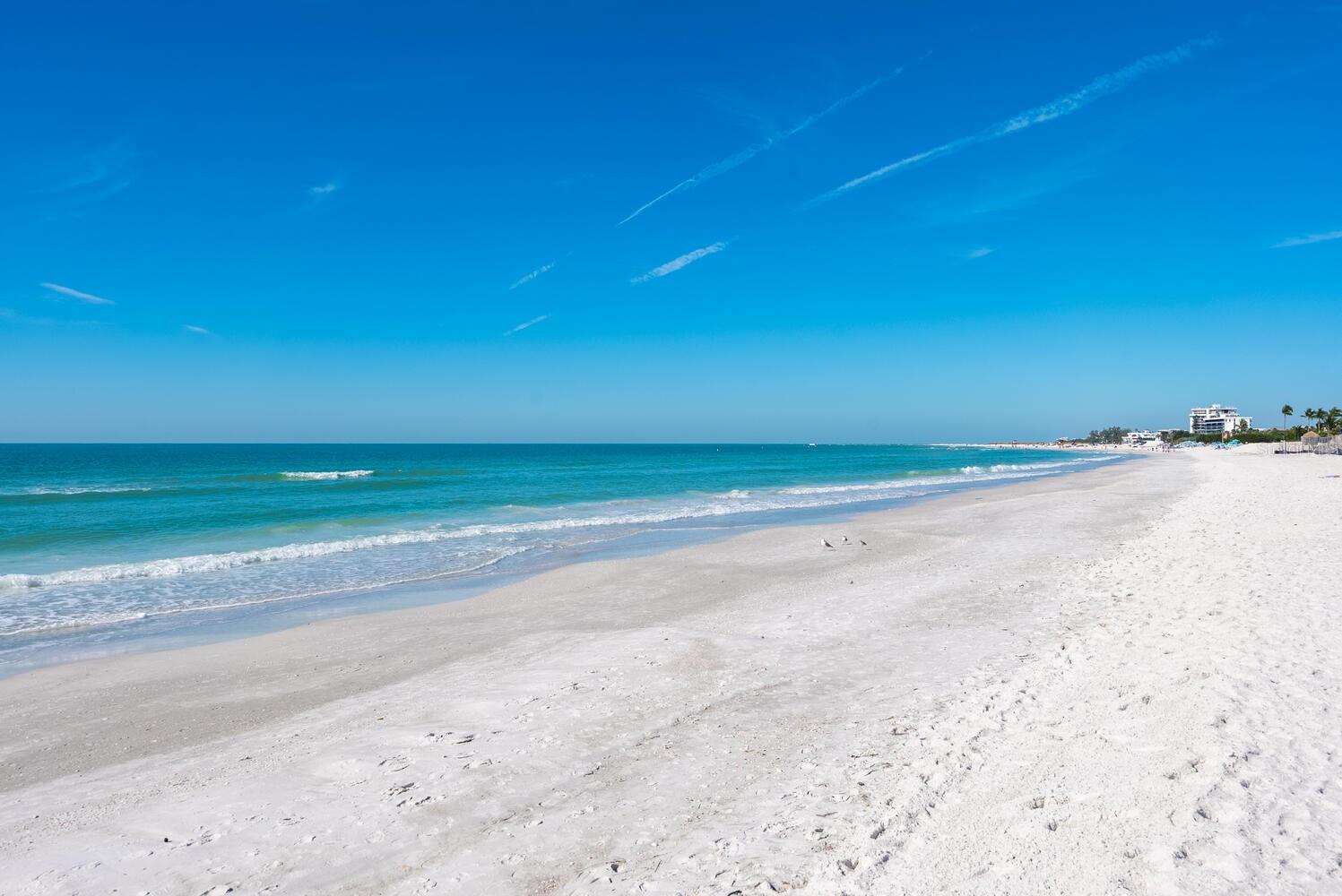 LIDO SURF & SAND - Residential