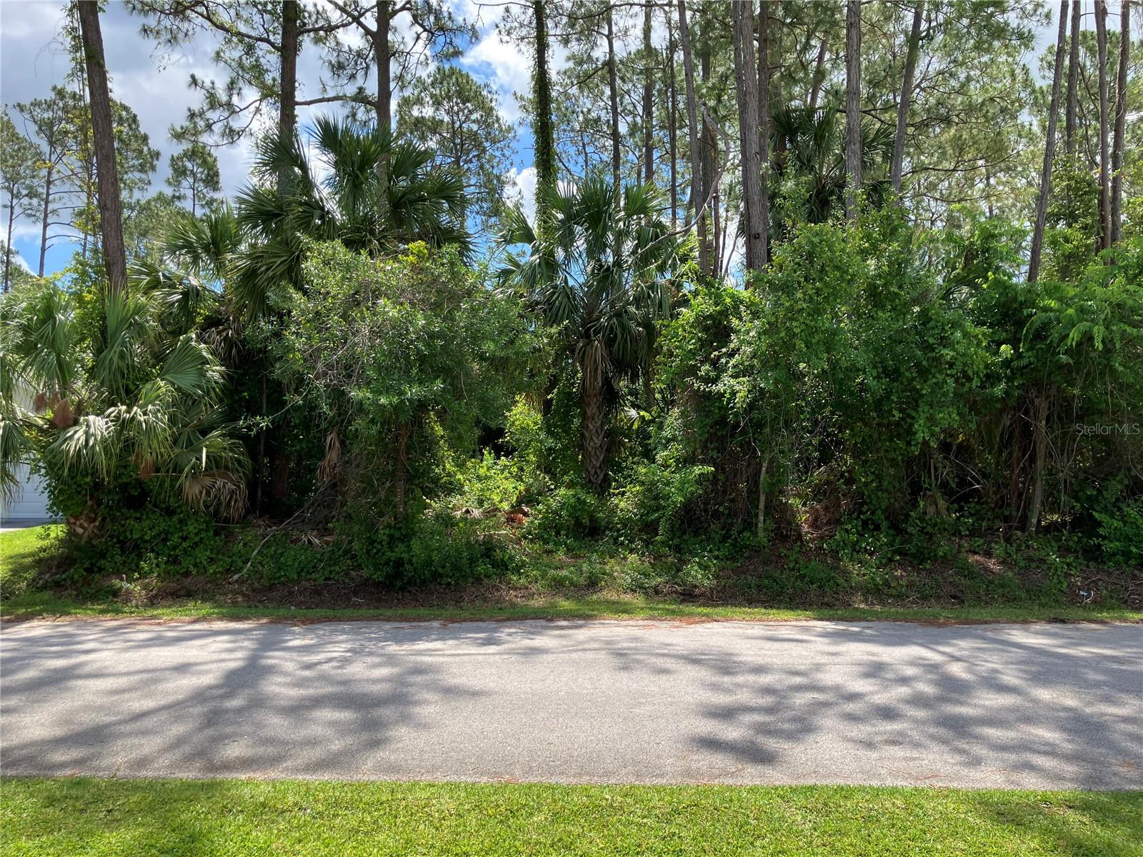 40 BRIGADOON LANE