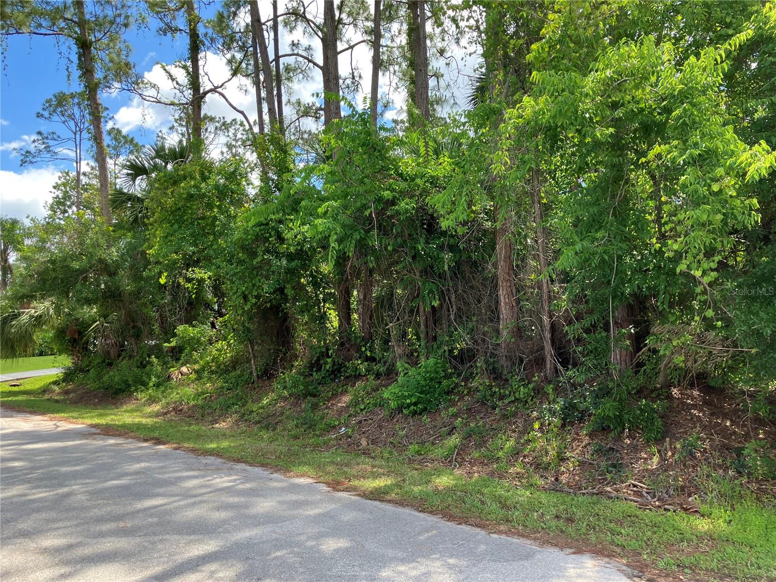 40 BRIGADOON LANE