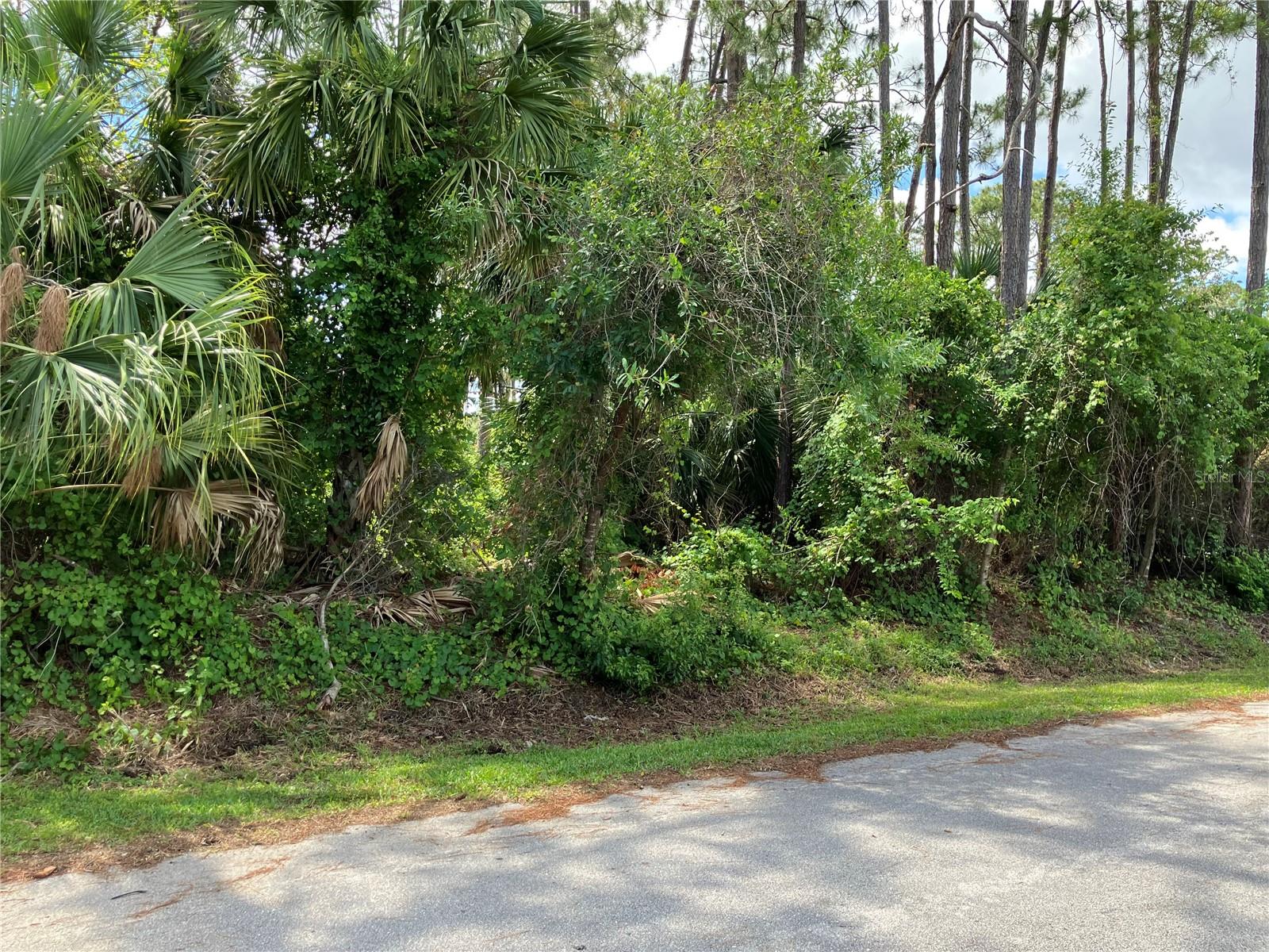40 BRIGADOON LANE