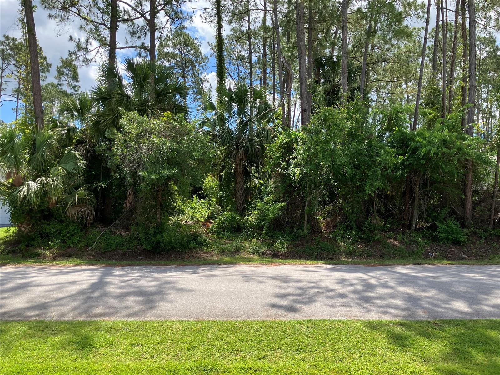 40 BRIGADOON LANE