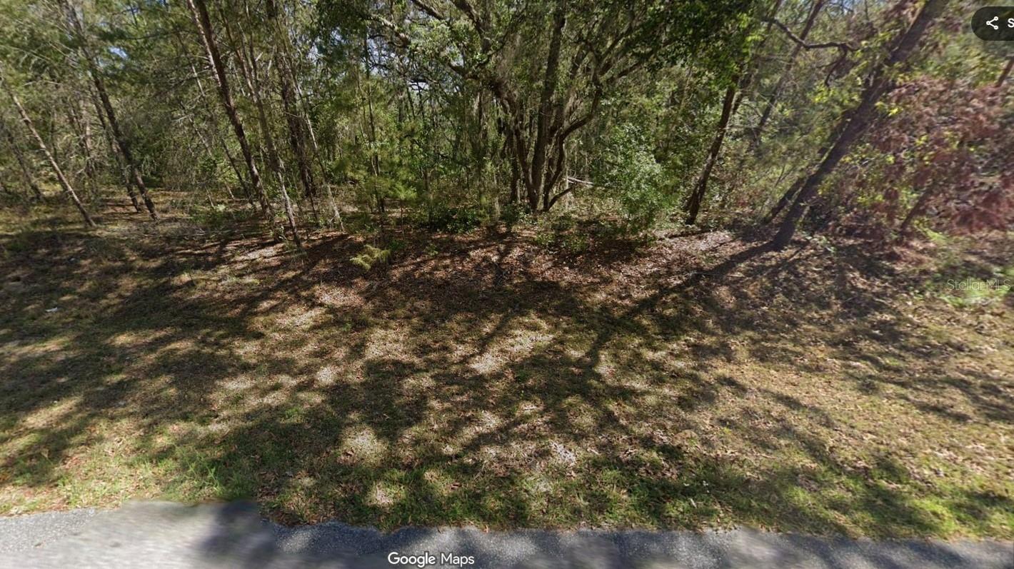Build your dream home in the rapidly growing and serene area of Ocala. This property is nestled up to the Ocklawaha Prairie Restoration Area. Enjoy the small-town flair with annual festivals, rodeos, world-renowned fishing, and abundant hunting opportunities.