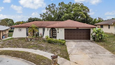 Photo of 7032 Fernleaf Court, Port Richey, FL 34668 (MLS # TB8438877)