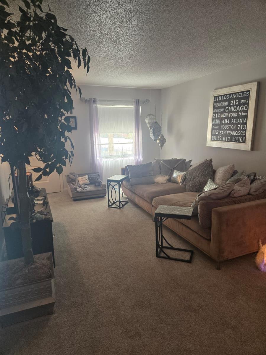 FAWN OAKS PALM COAST SEC 02 SUNRISE PLAZA - Residential Income