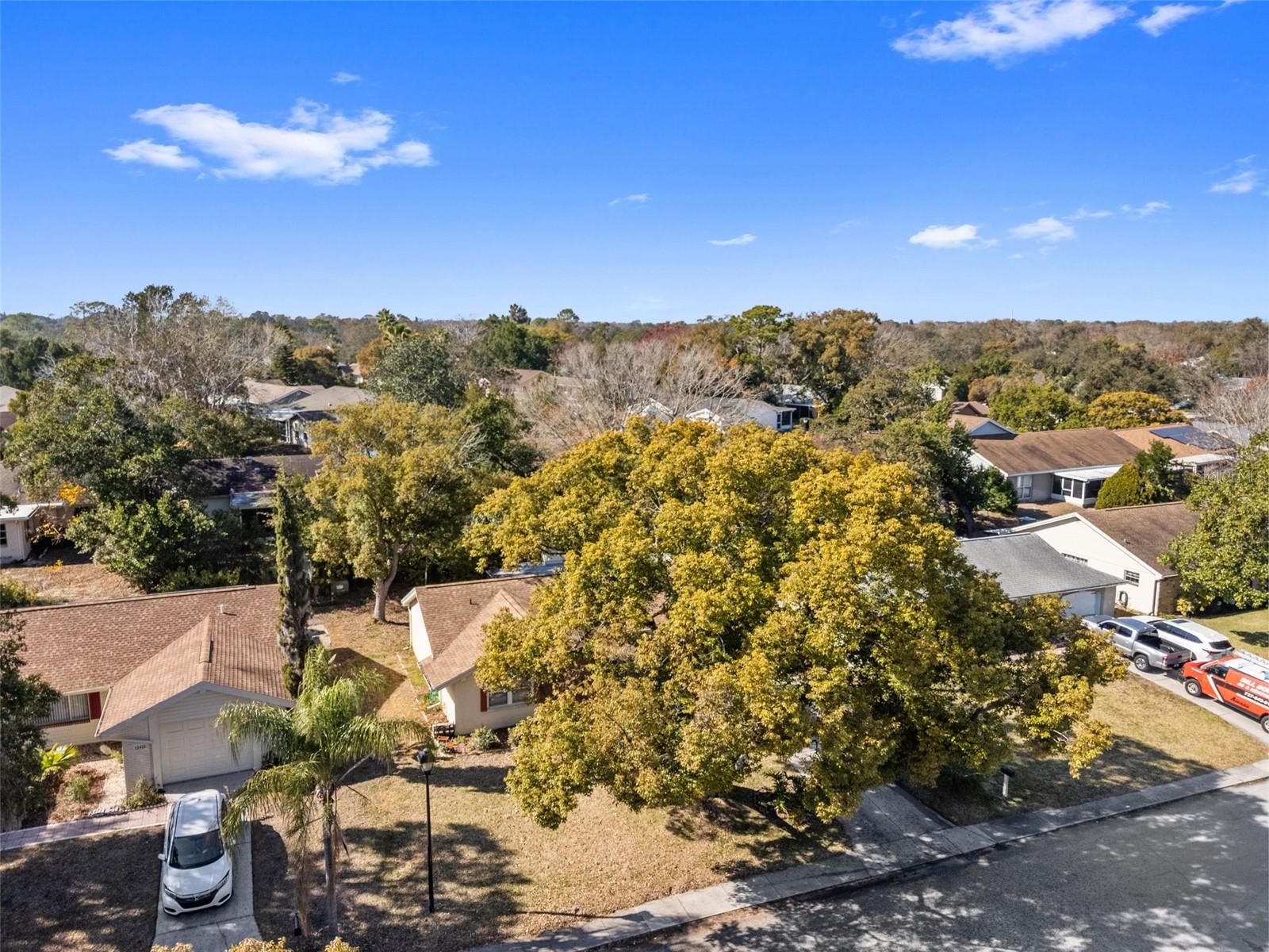 BEACON WOODS VILLAGE - Residential