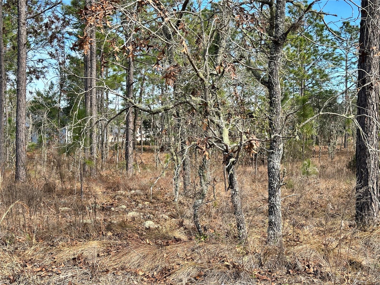 WILLISTON HIGHLANDS GOLF & C CLUB ESTATES - Land