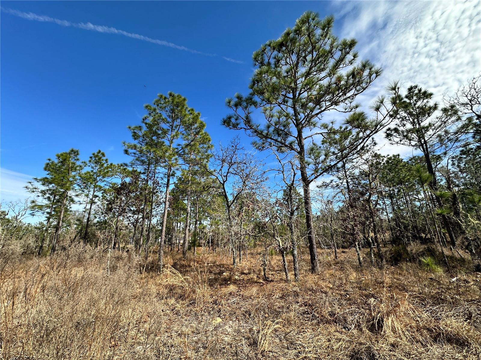 WILLISTON HIGHLANDS GOLF & C CLUB ESTATES - Land