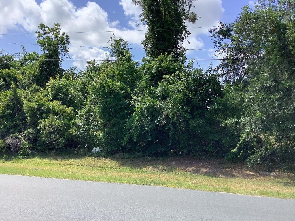Photo of 0 Winners Circle, Kissimmee, FL 34744 (MLS # S5148680)