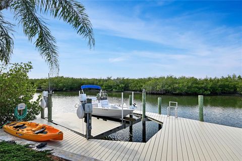 A home in NEW SMYRNA BEACH