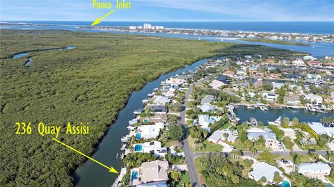 A home in NEW SMYRNA BEACH