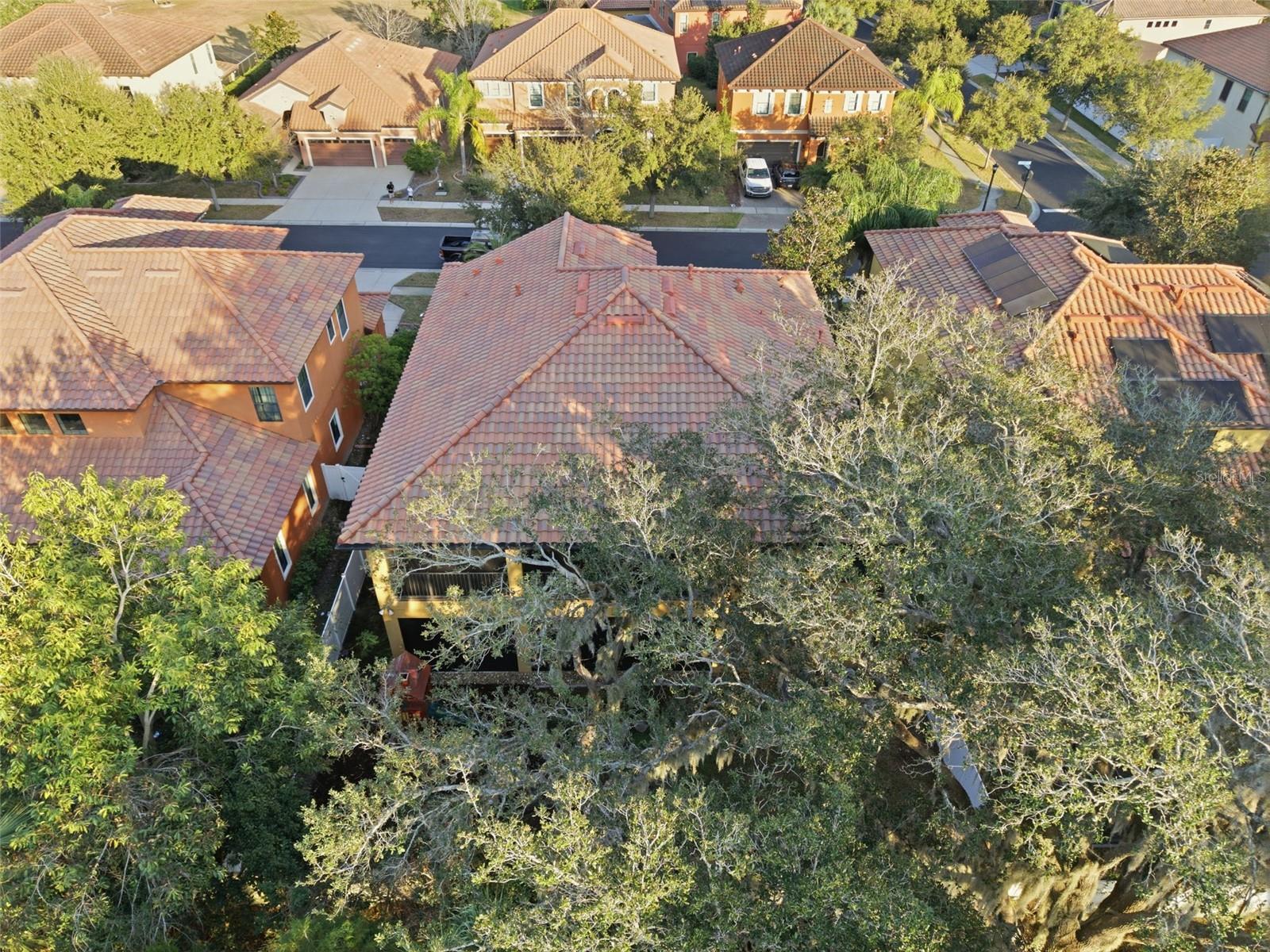 ENCLAVE/TERRA BELLA PH 2-4 - Residential