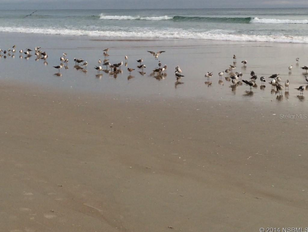 Ocean 01 Condo - Residential