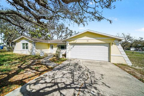 113 RUSKIN AVENUE SPRING HILL FL 34606