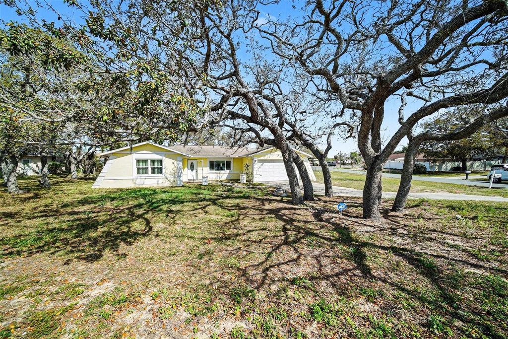 Photo of 113 Ruskin Avenue, Spring Hill, FL 34606 (MLS # TB8494046)