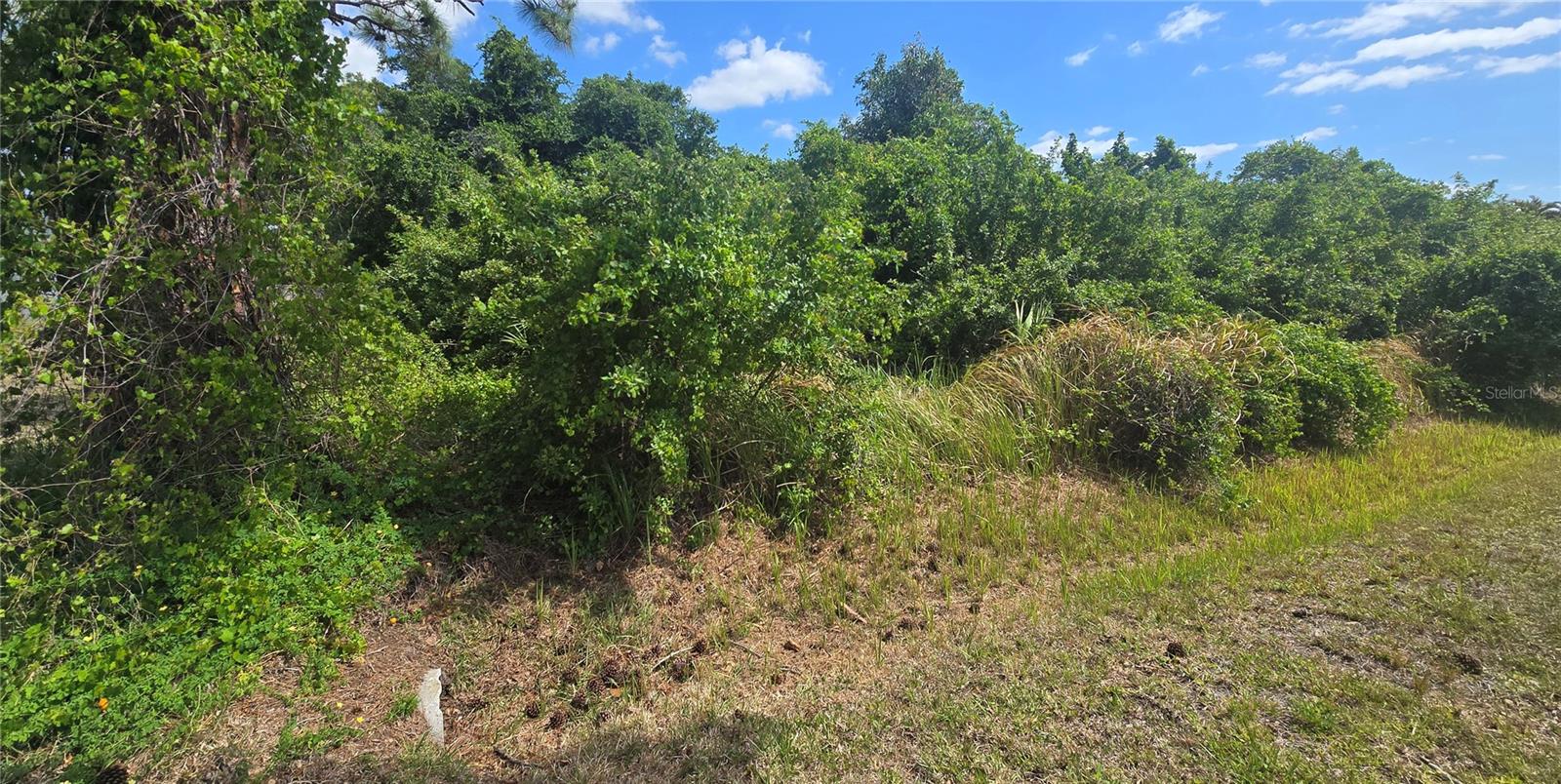 MANASOTA GARDENS - Land