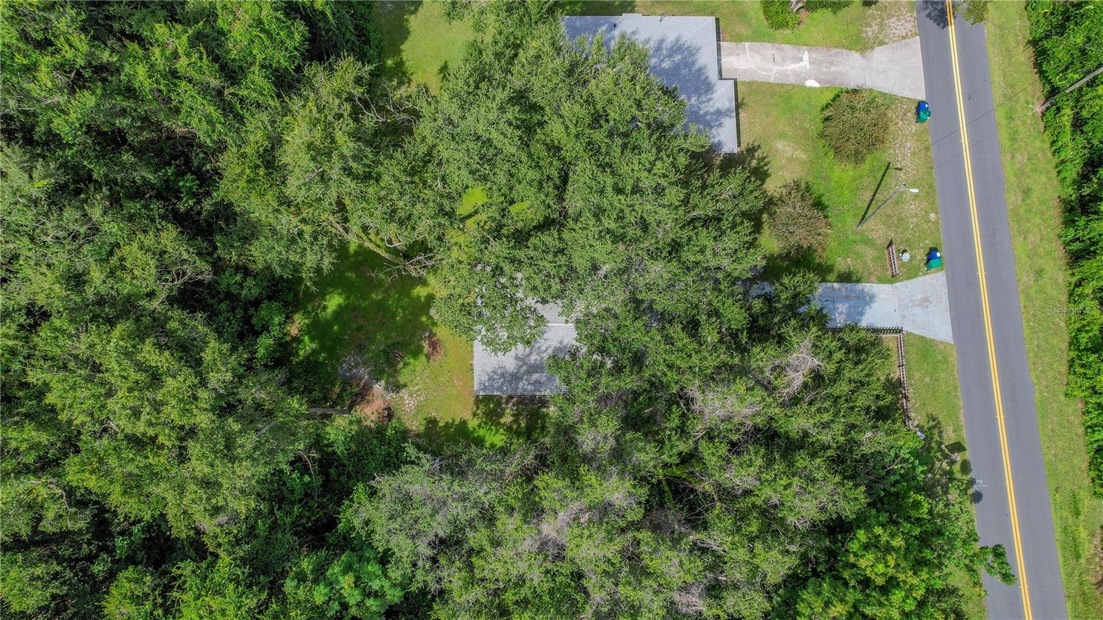 MEADOW LAWN - Residential