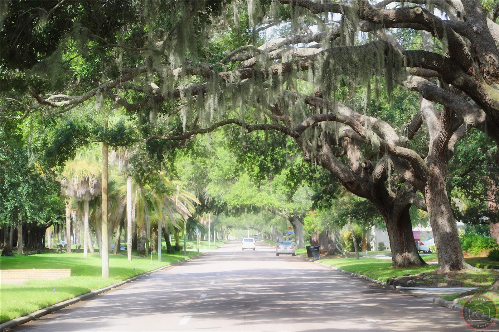 PINE LAKE - Residential