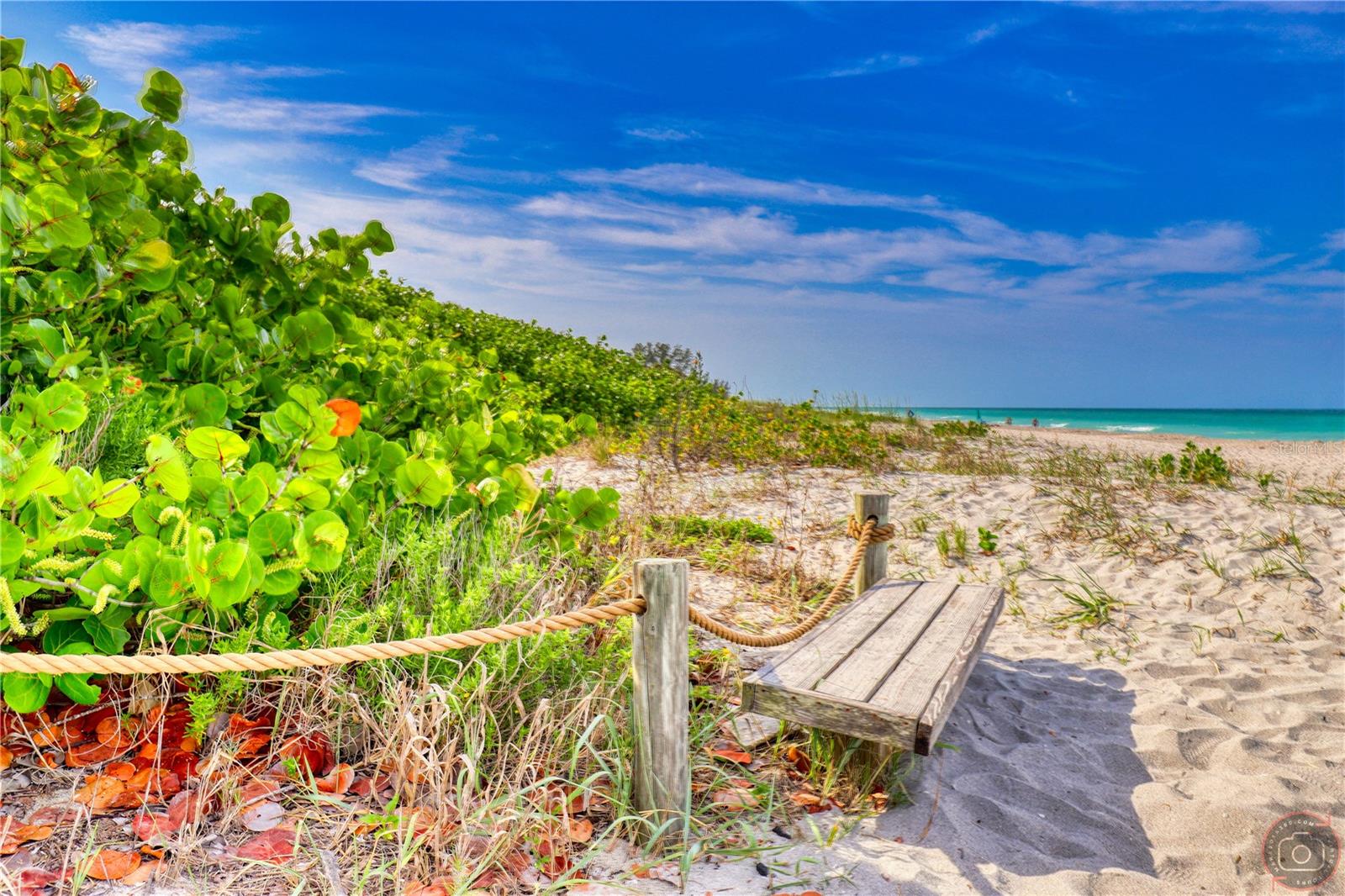 PINE LAKE - Residential