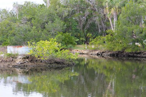 A home in CRYSTAL RIVER