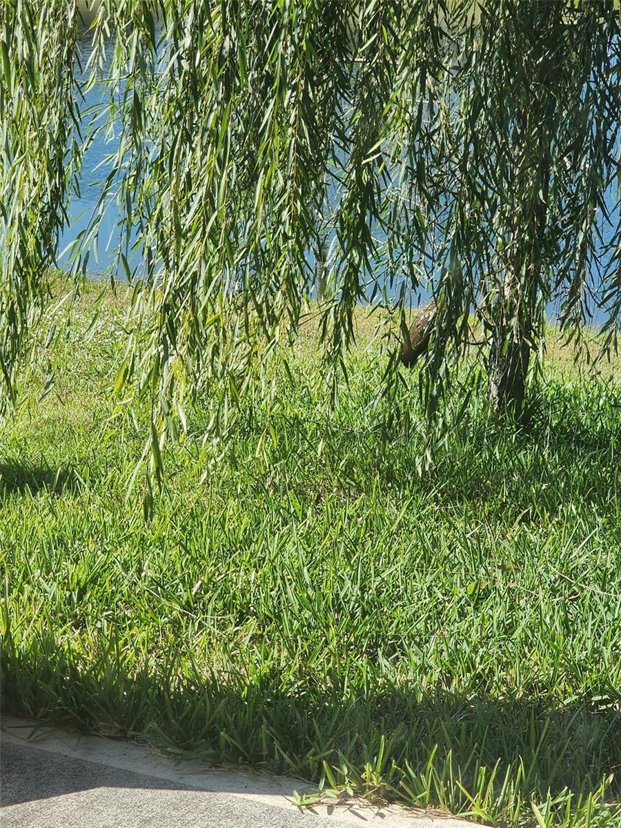 BAYSIDE COTTAGES - Residential