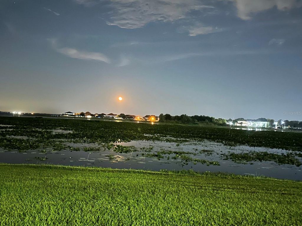 Photo of 1206 W Lake Parker Drive, Lakeland, FL 33805 (MLS # L4955589)