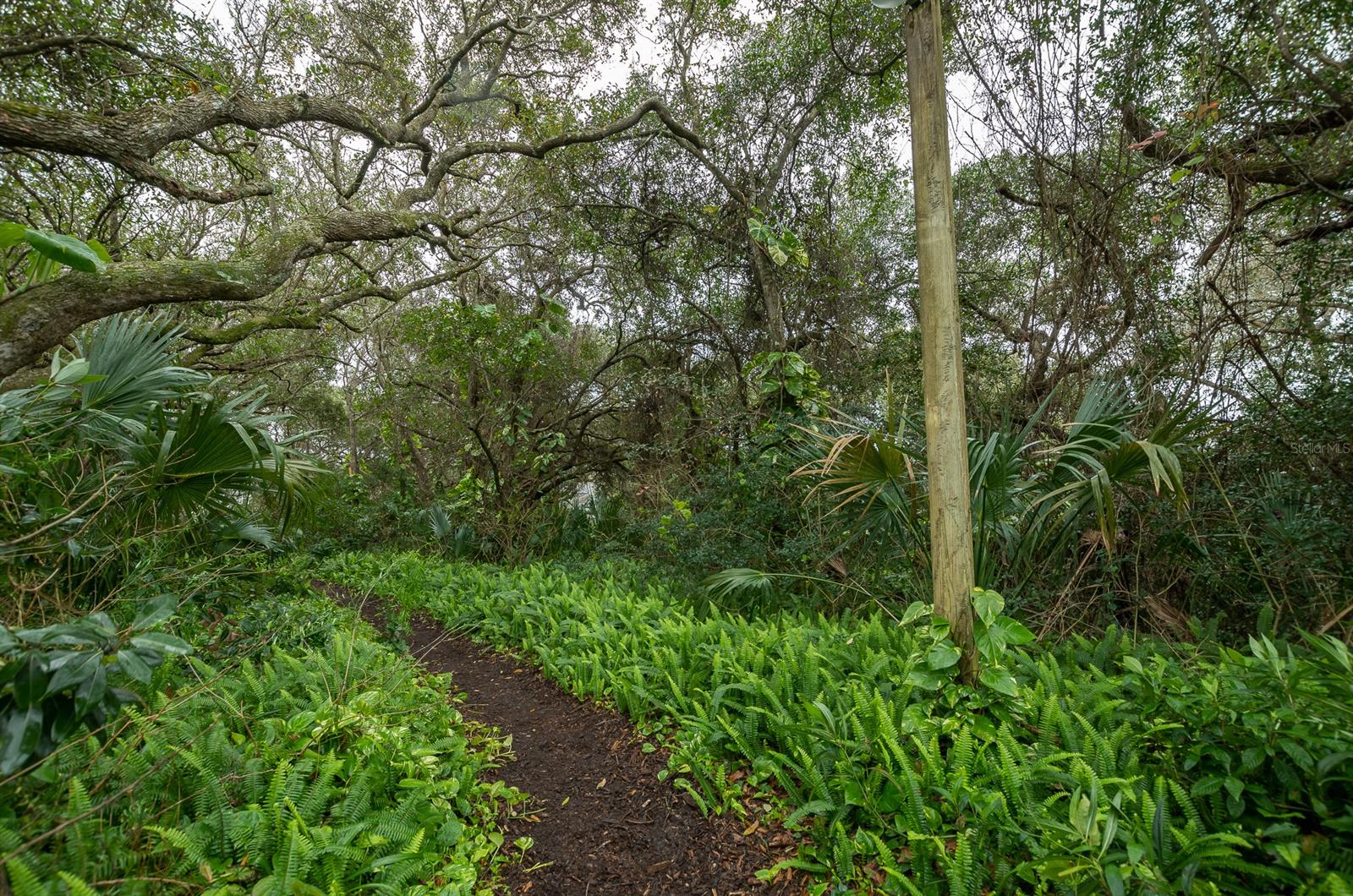 Sun Beach Club Condo Ph 01-03 - Residential