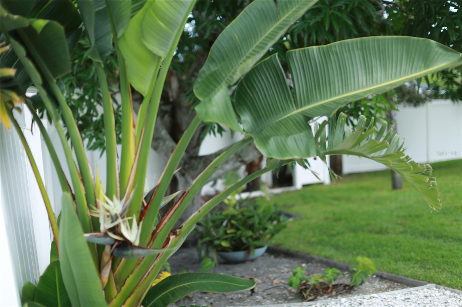 PALMA SOLA PARK - Residential