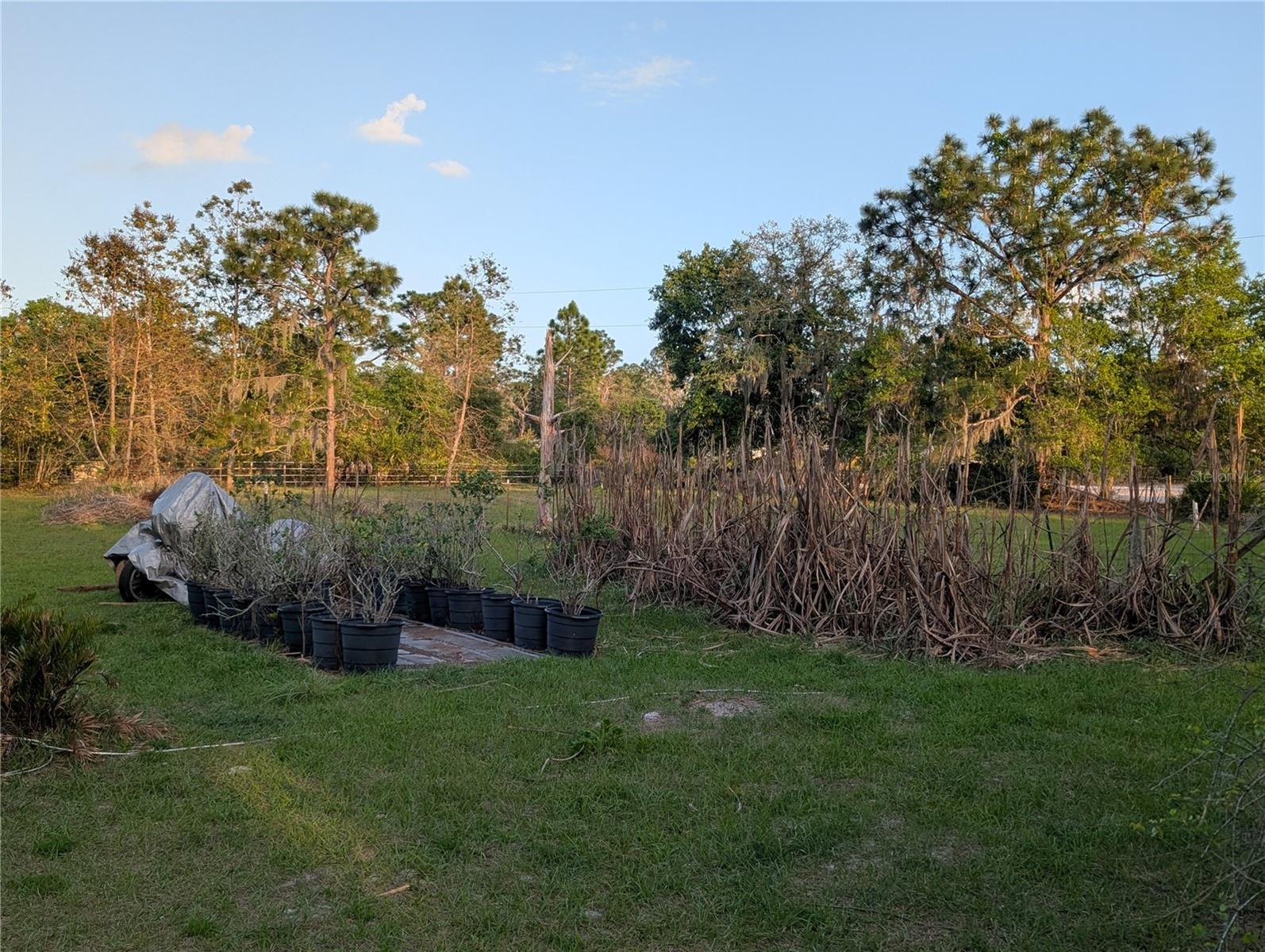 OAKRIDGE ESTATES - Residential