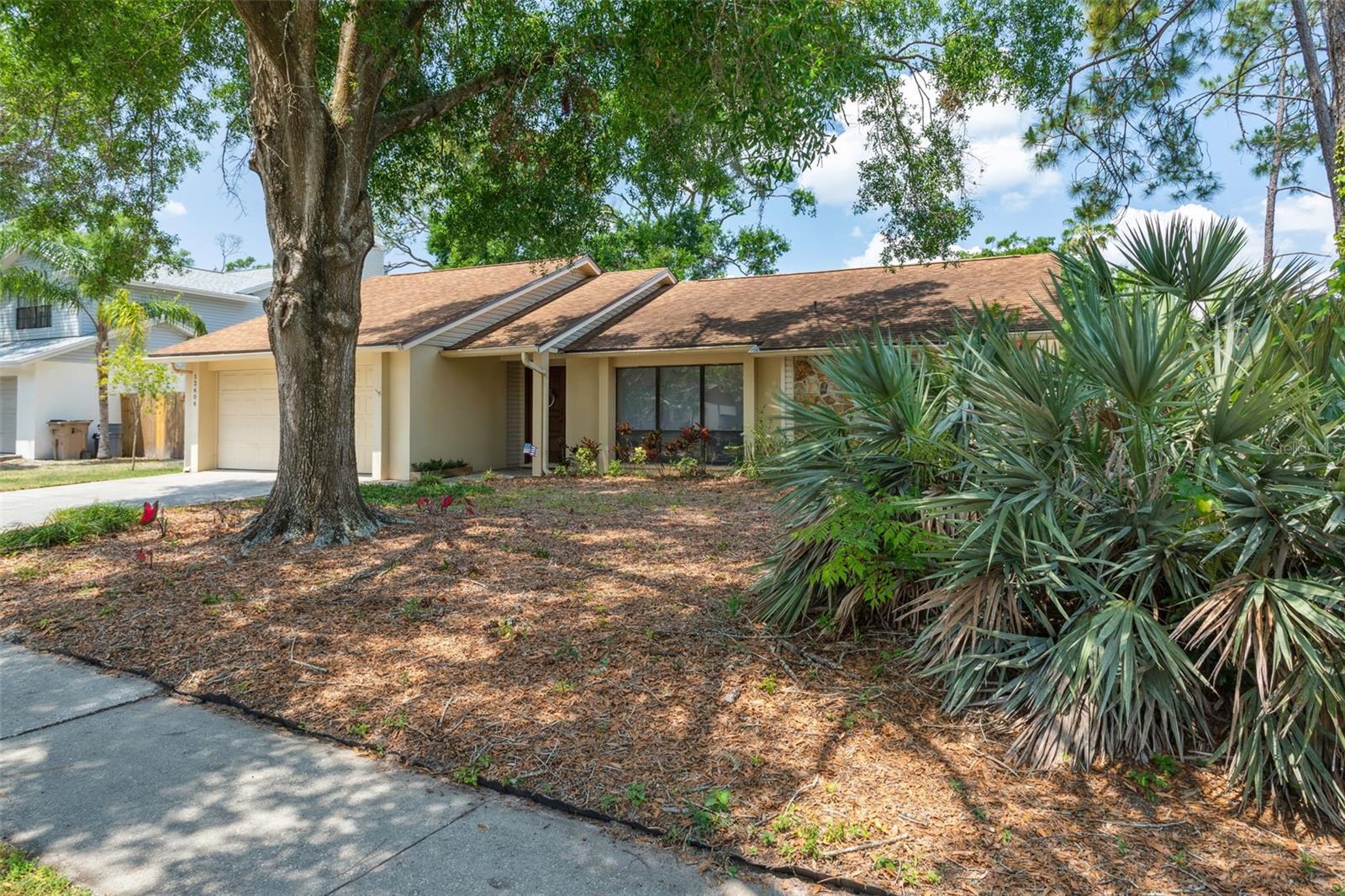 12606 RAIN FOREST STREET