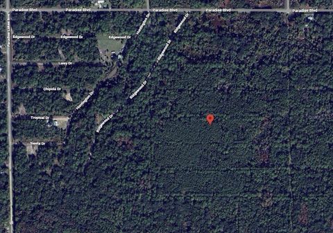 317 TROPICAL DRIVE GEORGETOWN FL 32139
