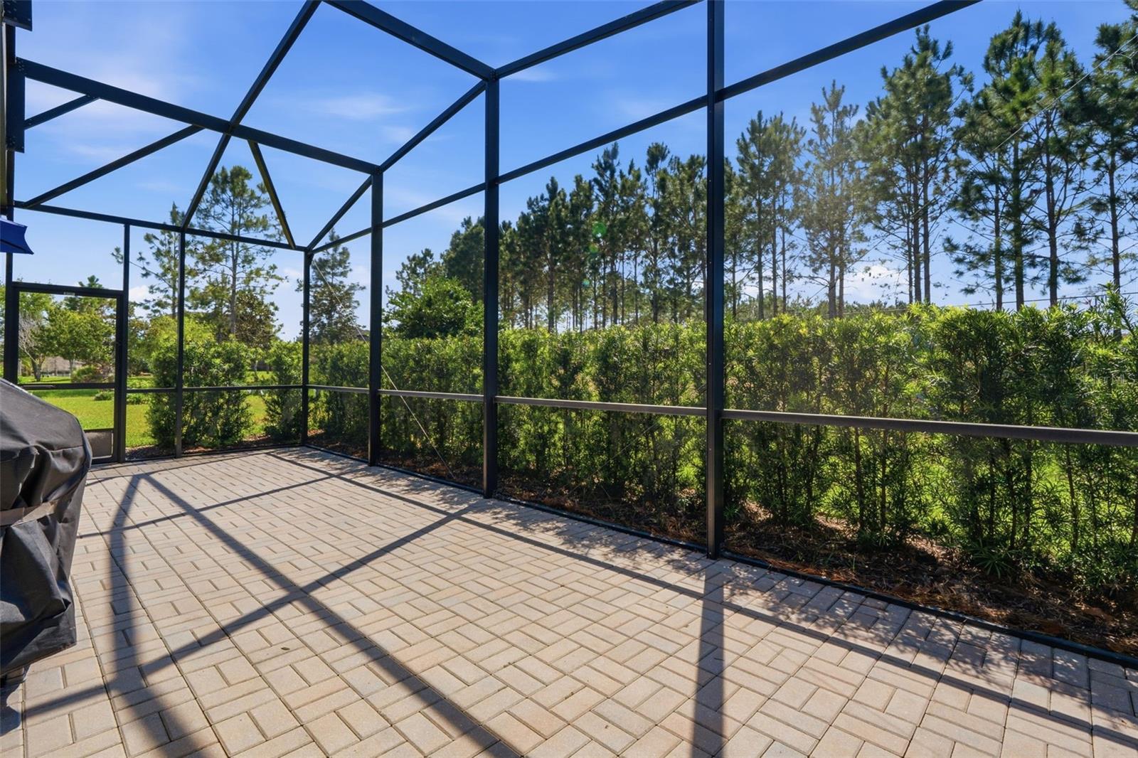 DEL WEBB ORLANDO PH 1 - Residential