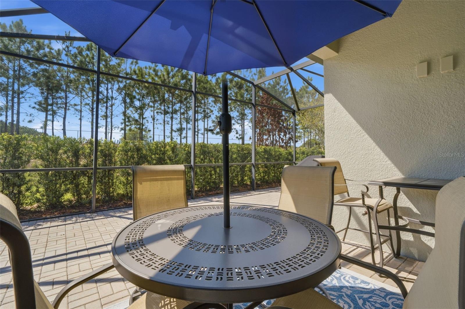 DEL WEBB ORLANDO PH 1 - Residential