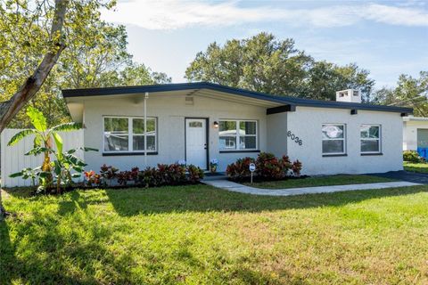 A home in PINELLAS PARK